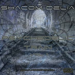 Download track Live 4G Shacom Delia