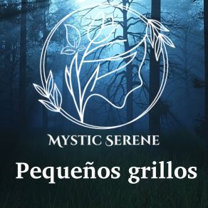 Download track Bosque Oscuro Mystic Serene