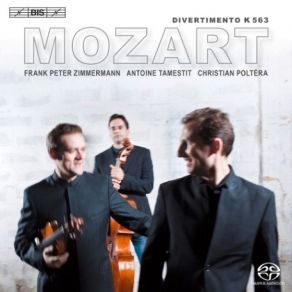 Download track Divertimento Es-Dur K. 563 - Allegro Trio Zimmermann