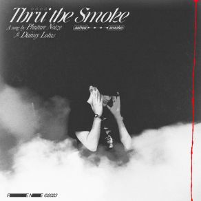 Download track Thru The Smoke Daimy Lotus