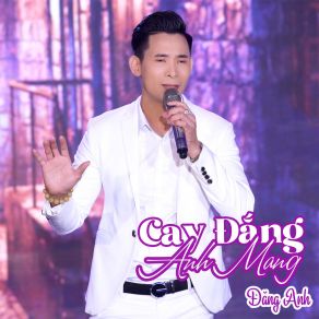 Download track Tình Ngăn Đôi Bờ Dang Anh