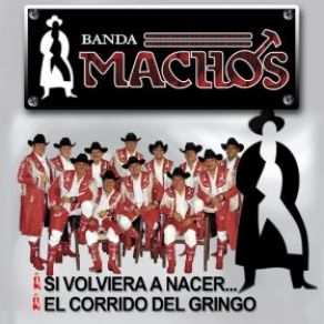 Download track Si Volviera A Nacer Banda Machos