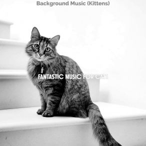 Download track Carefree (Cute Kittens) Fantastic Music For Cats