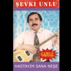 Download track Bacanak Şevki Ünlü