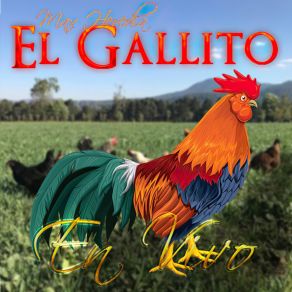 Download track Corazón De Oro (En Vivo) Max Heredia 'El Gallito'