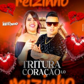 Download track Se Não Tivesse Ido Nando Reizinho