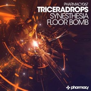 Download track Floor Bomb (Original Mix) Triceradrops