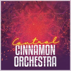 Download track Control (Instrumental) Cinnamon Orchestra