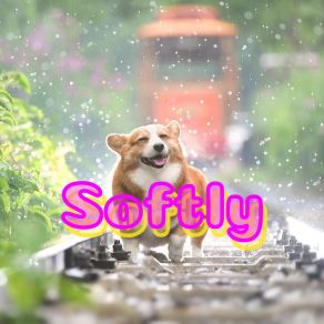 Download track Soflty Mood Softly Jackson