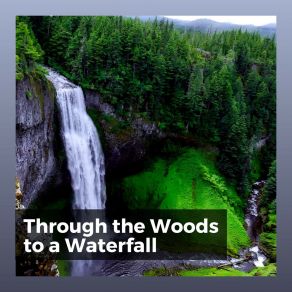 Download track Soundscapes Of Nature Melodies, Pt. 58 Nature Soundscapes