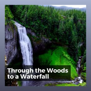 Download track Soothing Tune Of The Forest Nature Soundscapes