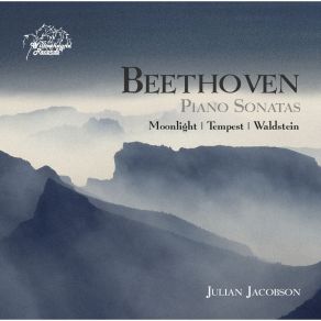 Download track 09 - Piano Sonata No. 21 In C Major, Op. 53 Waldstein - III. Rondo. Allegretto - Prestissimo Ludwig Van Beethoven