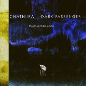 Download track Horrors Through The Dark Passage (Original Mix) Chathura