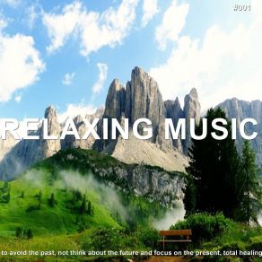 Download track Meditación Vibras Relajantes White Noise Baby Sleep