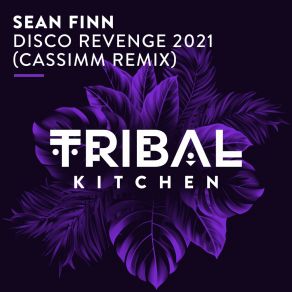 Download track Disco Revenge 2021 (Cassimm Radio Edit) Sean FinnCassimm