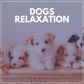 Download track Calming Music For Stressed Dogs, Pt. 11 Dog Sleep Dreams