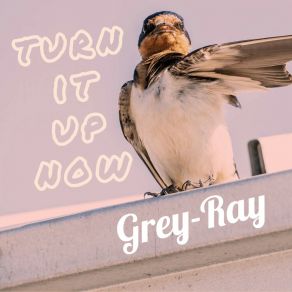 Download track Turn It Up Now (Extended Mix) Grey-Ray