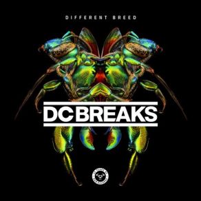 Download track Time To Kill DC Breaks