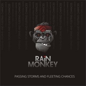 Download track Throne Pretender Rain Monkey