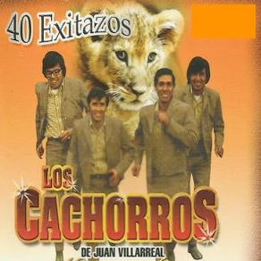 Download track Chiquita Encantadora Los Cachorros De Juan Villareal