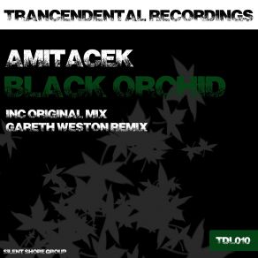 Download track Black Orchid (Original Mix) Amitacek