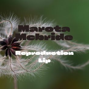 Download track Degeneration Mullah Marota Mcbride