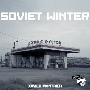 Download track Technical Abstraction (Snow Flower) Xavier Montrier