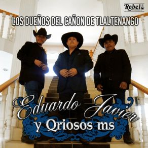 Download track El Tatuaje Q-Riosos MS