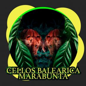 Download track Marabunta Cellos Balearica