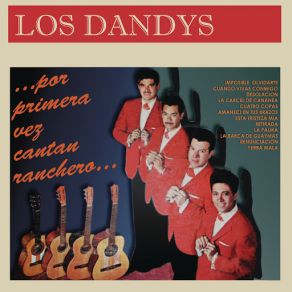 Download track Cuando Vivas Conmigo Los Dandys