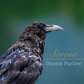 Download track Scotland Dustin Furlow