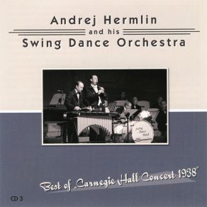 Download track Swingtime In The Rockies His Swing Dance Orchestra, Andrej Hermlin