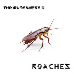 Download track Ayahuasca The Mudsharks 3