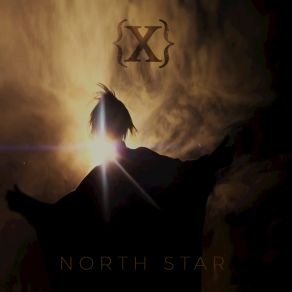 Download track North Star (Future Funk Squad Remix) IAMX