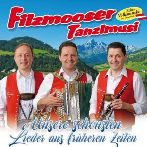 Download track Die Alm Is Kloa Verdraht Filzmooser Tanzlmusi