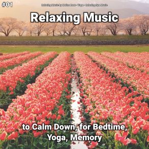 Download track Relaxing Music, Pt. 9 Relaxing Spa Music