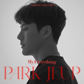 Download track My Everything (Inst.) Park Je Up