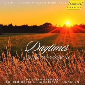 Download track Suite Algérienne In C Major, Op. 60, R. 173 III. Rêverie Du Soir (Arr. For Organ By Anonymous) Christian Brembeck