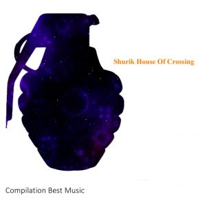 Download track House Of Crossing (Original Vip Mix) Shurik