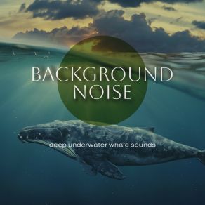 Download track Deep Underwater Whale Sounds, Pt. 12 Thomas O'ReillyThomas O��Reilly