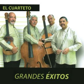 Download track Caballo Viejo El Cuarteto