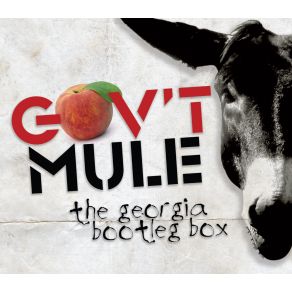 Download track Blind Man In The Dark Gov'T Mule