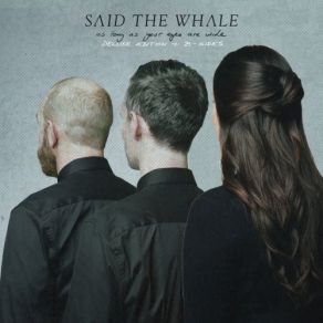 Download track Realize Real Life Said The Whale