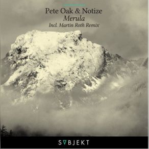 Download track Merula (Radio Edit) Pete Oak, Notize