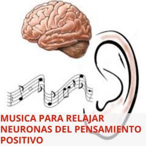 Download track Música Para Mejorar Rendimiento De Neuronas RELAJANDO NEURONAS