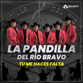 Download track Cambiaste Mi Vida La Pandilla Del Rio Bravo