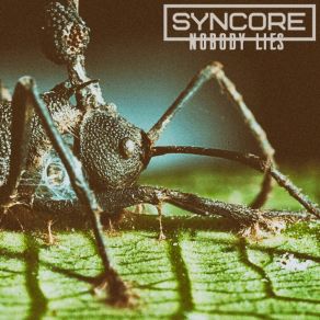 Download track Fear Contagion (Holocoder Remix) Syncore