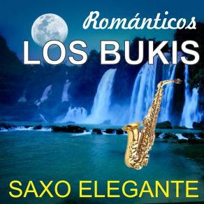 Download track Si No Te Hubieras Ido (Cover) Saxo Elegante