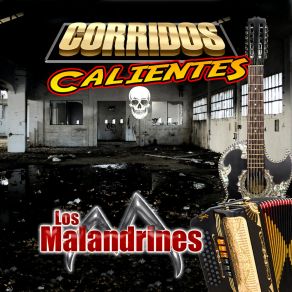 Download track El Michoacano Los Malandrines