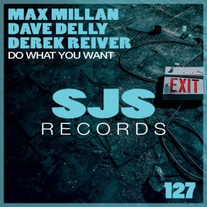 Download track Do What You Want (Extended Mix) Derek Reiver